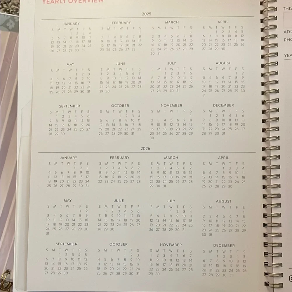 Blue Sky Multicolor Striped Planner